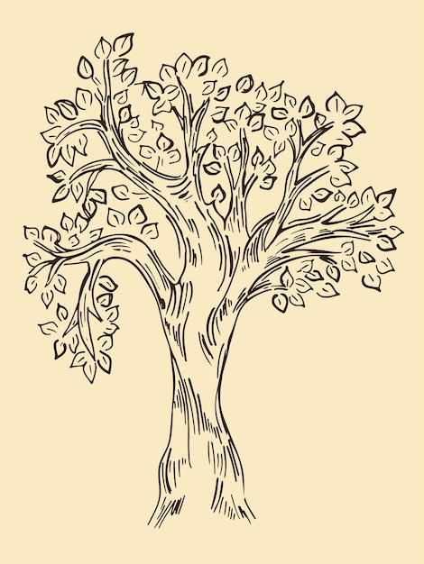 Vintage tree sketch vector illustration isolated object