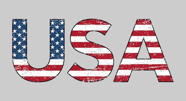 Vintage USA text with flag