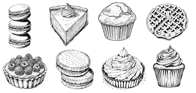 Vector vintage vector set of desserts biscuit cake macaroon tart and waffle hand drawn sketches of sweet pastries and bakery