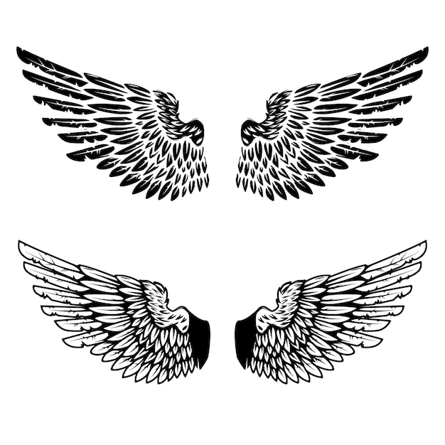 Vintage wings  on white background.  elements for logo, label, emblem, sign, brand mark.  illustration.