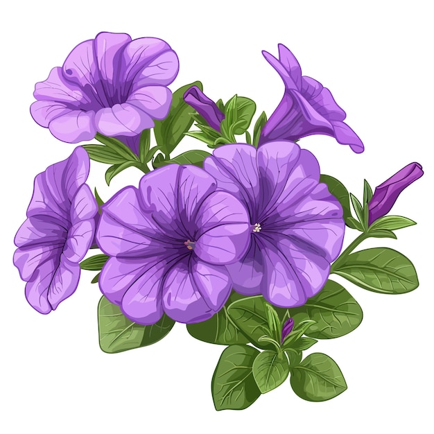 Violet flowers