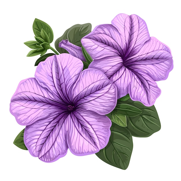 Violet flowers