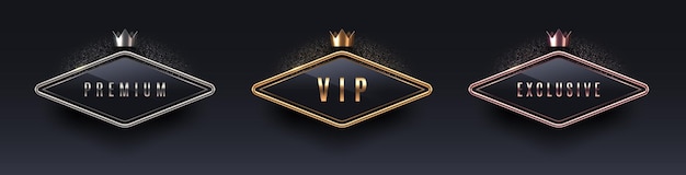 Vector vip premium and exclusive sign with 3d metal frame and crown golden silver and bronze metallic