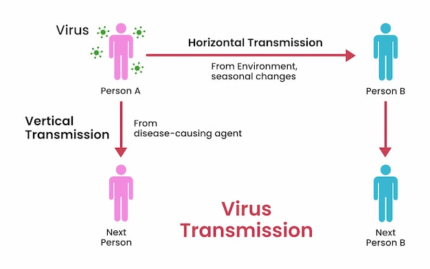 Virus transmission directly or indirectly. biological explain diagram. vector illustration.