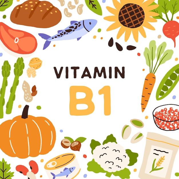 Vitamin B1, frame with vitamine food. Circle of healthy organic vegetables, fruits, fish, nuts and caviar enriched with B 1, thiamine. Square card with nutrients. Colorful flat vector illustration.