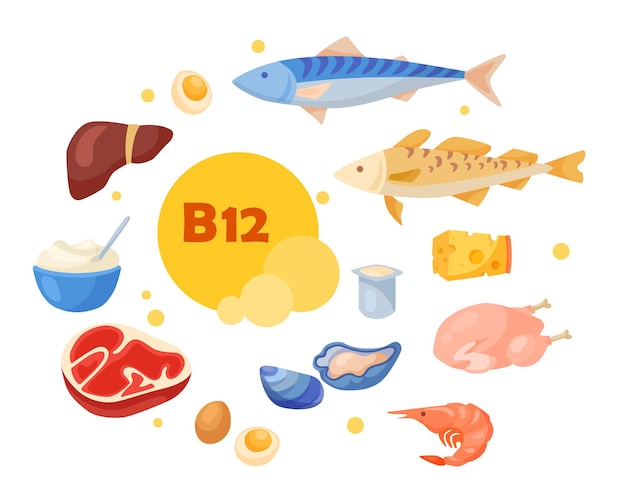 Vitamin b12-enriched food cartoon collection set. Organic meat, fish, milk, cheese, tuna, shrimp, curd, eggs containing vitamin isolated on white background. Balanced diet, meal, healthcare concept