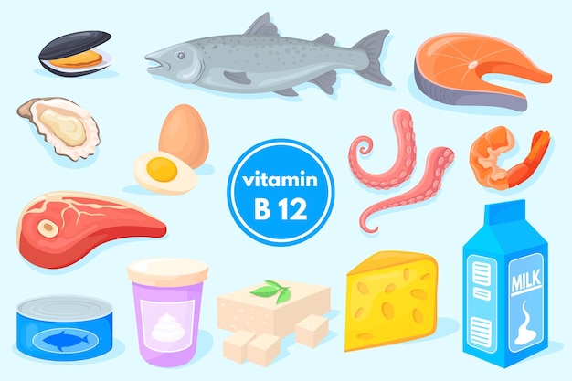 Vitamin b12 products Healthy food fish meat milk cheese egg salmon curd shrimp tuna organic dietary nutrition vegan fruits diet balanced energy minerals neat vector