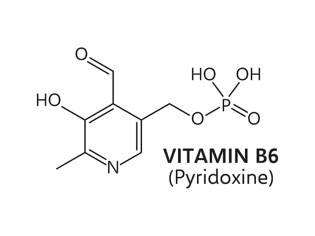 Vitamin B6 formula Thin line chemical structure