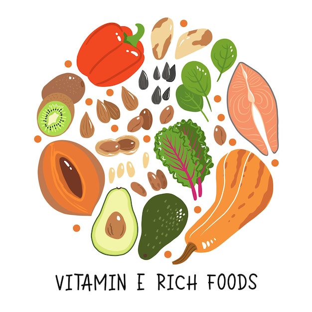 Vitamin e vector stock illustration Food products with a high content of the tocopherol kiwi mamey sapote swiss chard red sweet pepper avocado butternut squash brazil nuts peanuts salmon