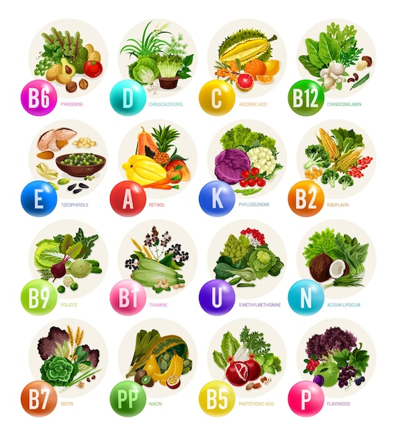 Vector vitamins in fruits nuts and vegetables