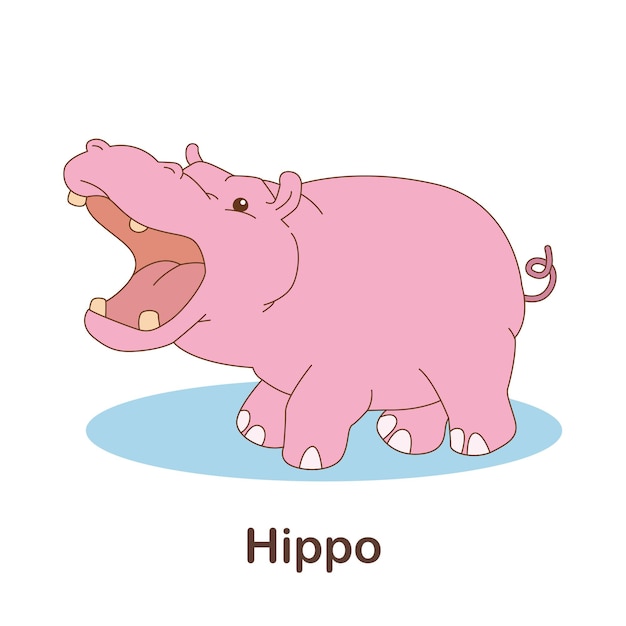 Vocabulary Flash Card for kids. Hippo with picture of hippo (Vocabulary for CEFR : A1-A2 Level)