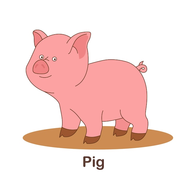 Vocabulary Flash Card for kids. Pig with picture of pig