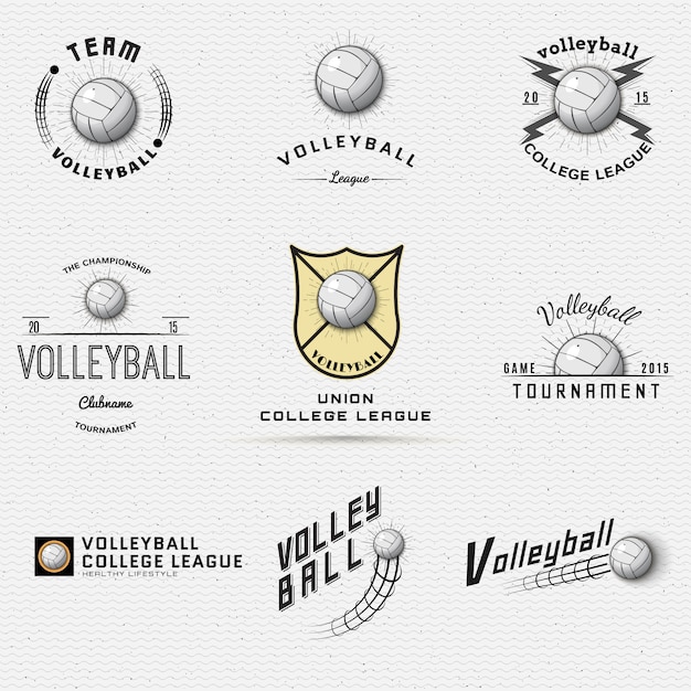 Volleyball badges logos and labels can be used for design