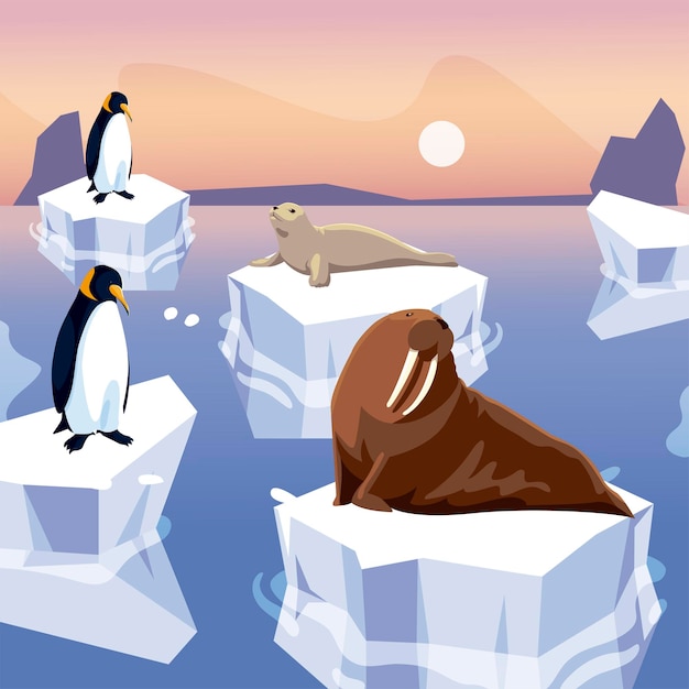 Walrus seal and penguins standing on iceberg north pole  illustration