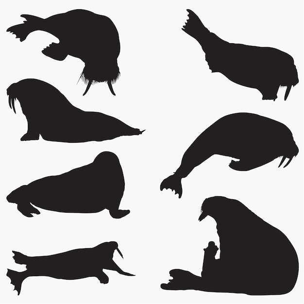 walrus Silhouettes set