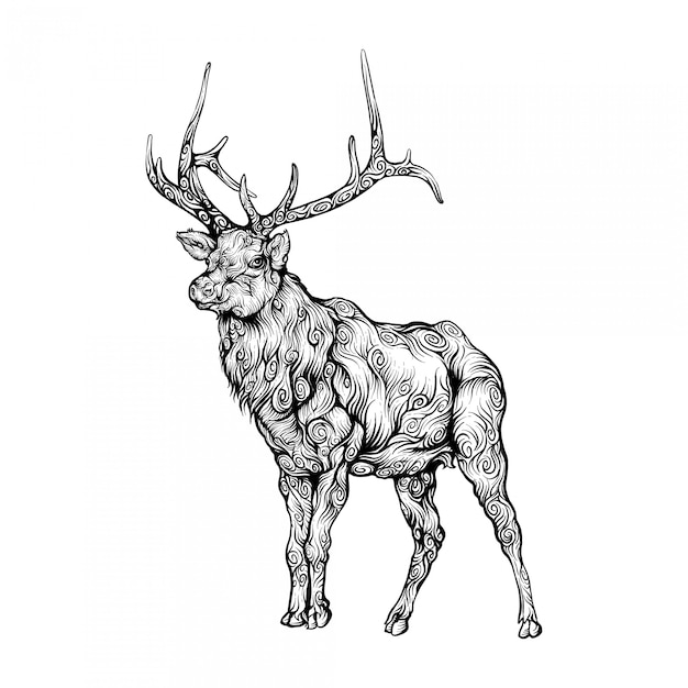 Wapiti in curly hand drawing style