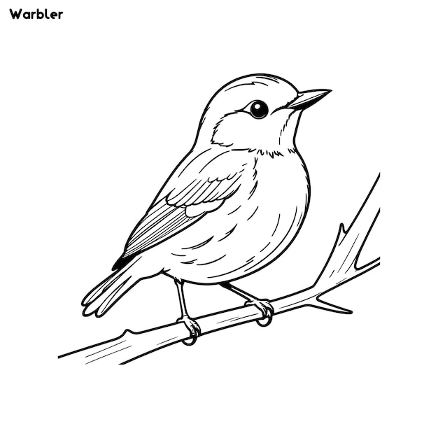 Vector warbler bird hand drawing coloring page and outline vector design