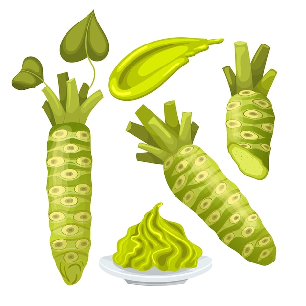 Wasabi asian japan set cartoon vector illustration