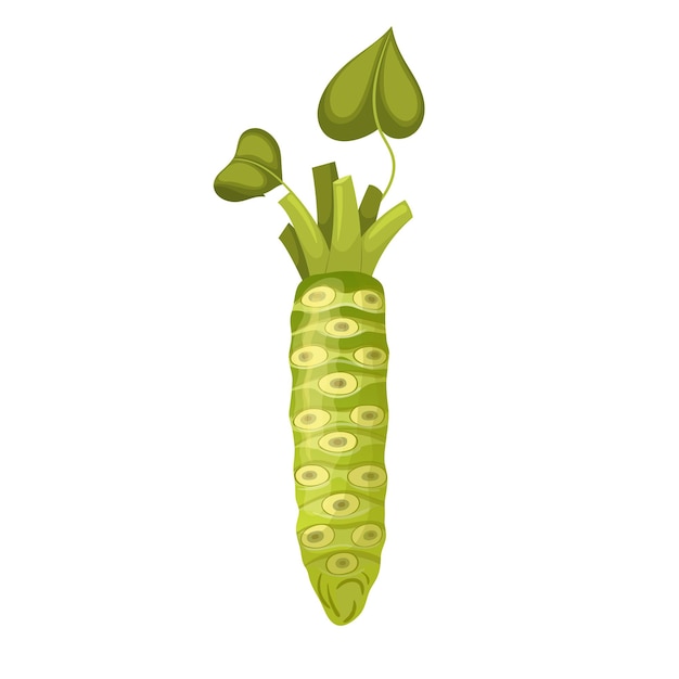 Wasabi food cartoon vector illustration