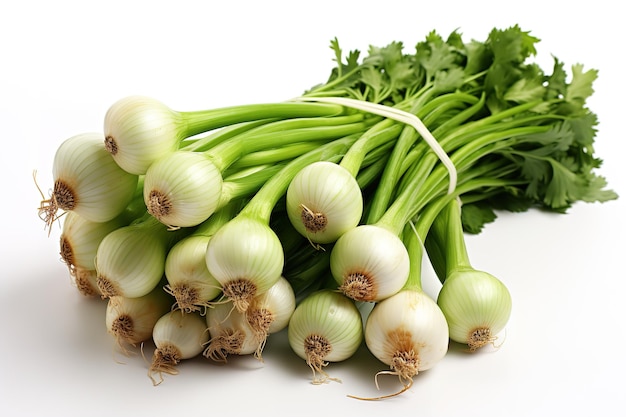 Washed fresh young bulb onions with roots and part of the stems twigs of parsley on a white backgro