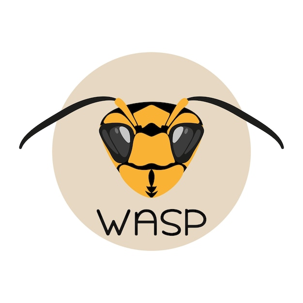 Wasp, head close-up.