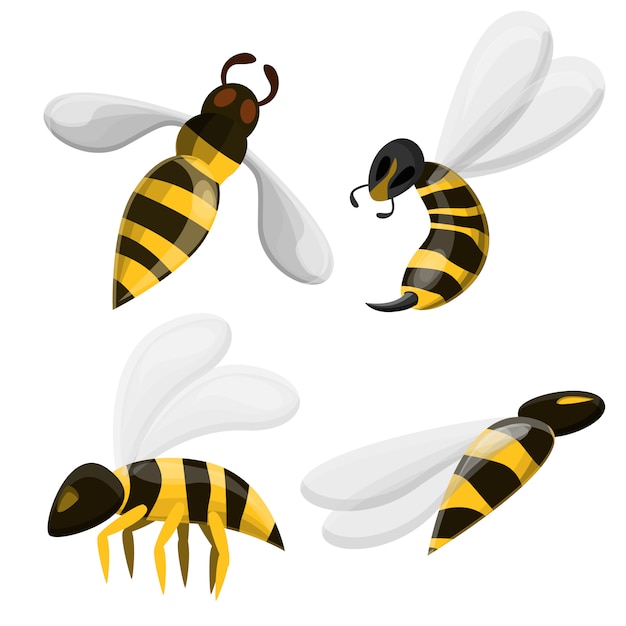 Vector wasp icons set, cartoon style