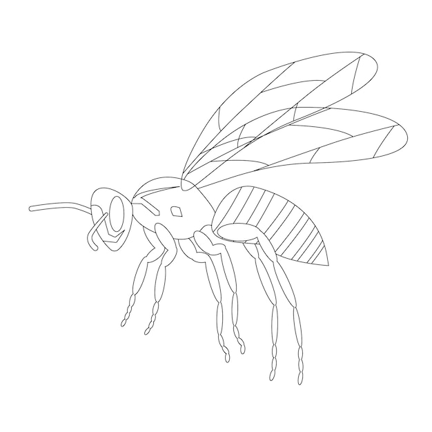 Wasp isolated on a white background. A wild insect. Outline. Vector illustration