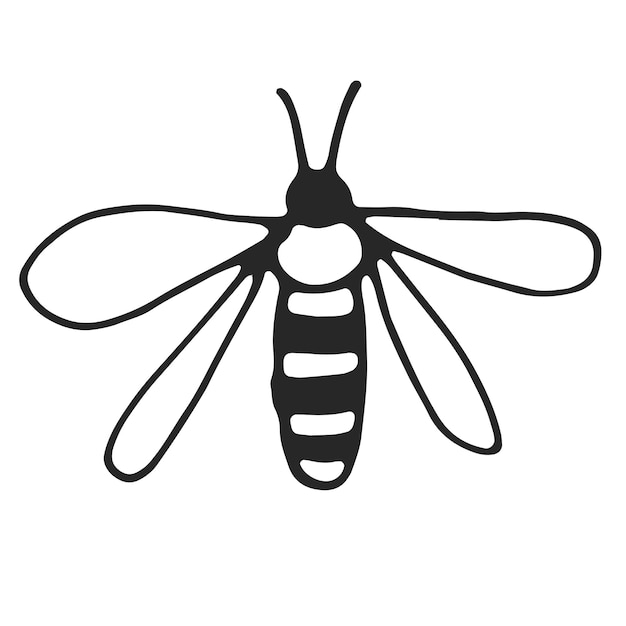 Wasp simple line drawing black outline Hand drawn vector on white background isolated View from above