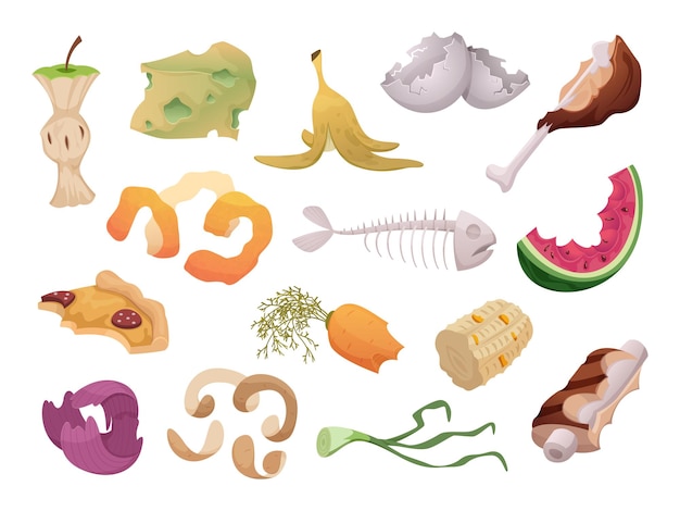 Waste foods Recycling organic trash fruits meat vegetables fish bones waste exact vector illustrations isolated