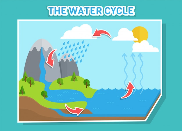 Water cycle diagram shows the water cycle from water droplets to raindrops.