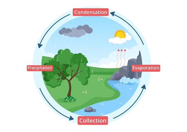 Water Cycle Flat Cartoon Illustration in Earth Natural Environment