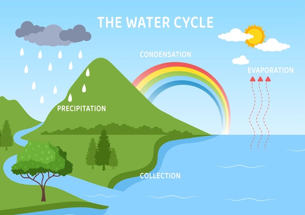 Water Cycle Flat Cartoon Illustration in Earth Natural Environment