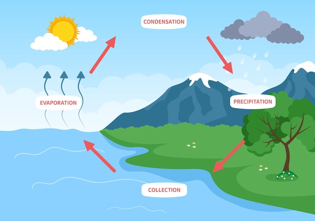 Water Cycle Flat Cartoon Illustration in Earth Natural Environment