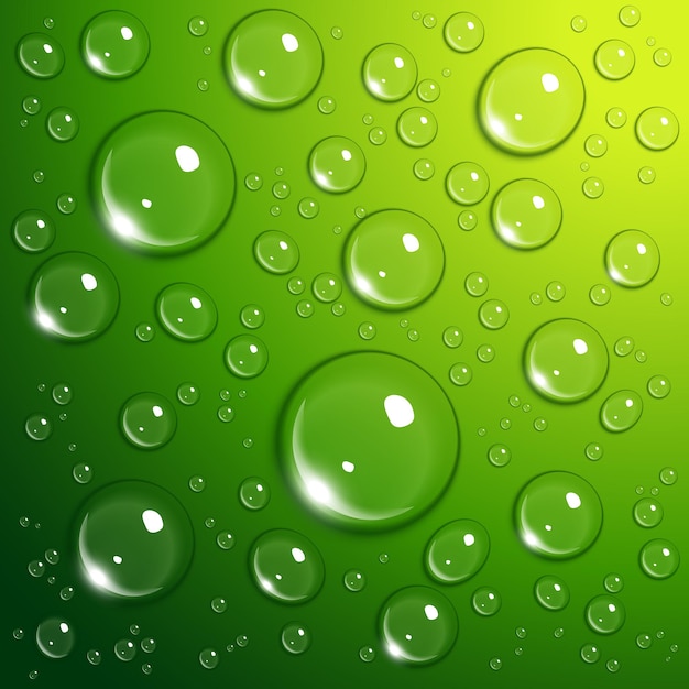 Water drops on green background