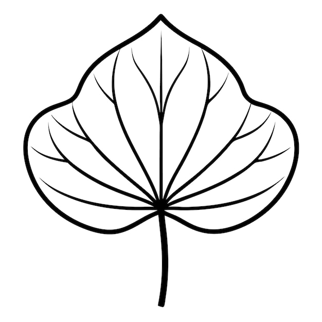 Vector water lily leaf line art vector illustration on white background