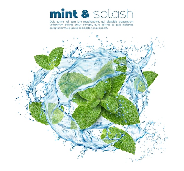 Vector water wave swirl splash with green mint leaves