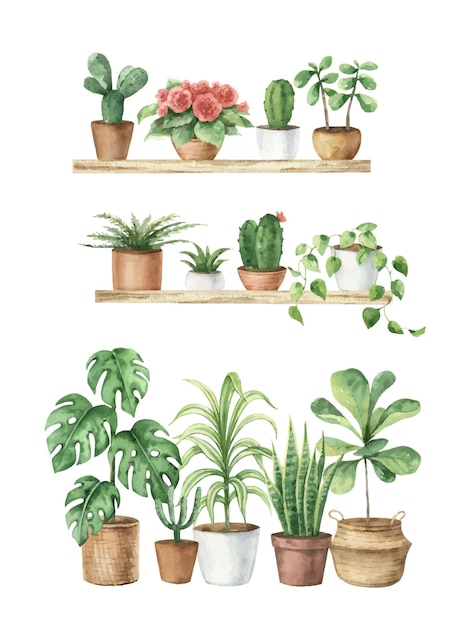 Watercolor aesthetic room decor and indoor plants