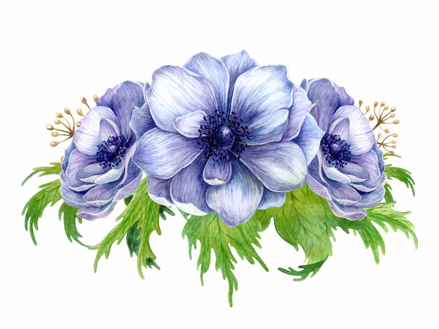 Watercolor anemone bouquet.