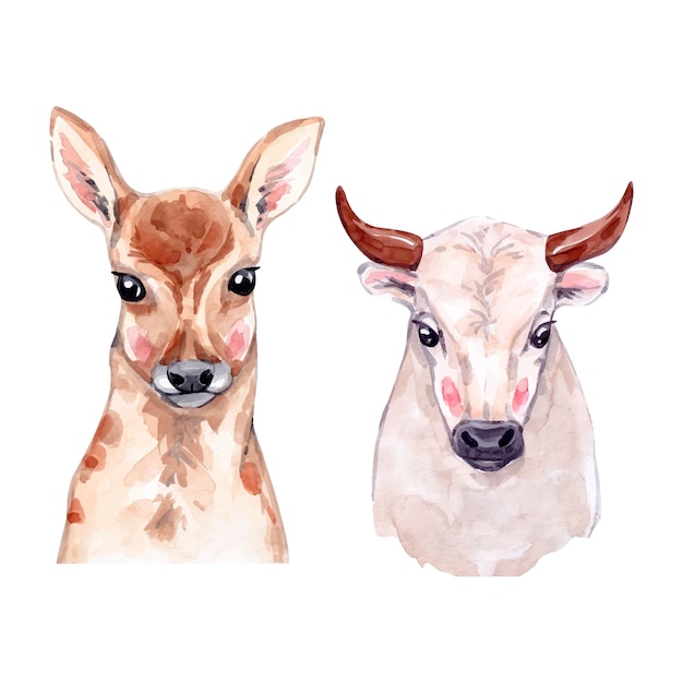 Watercolor animals deer and bull