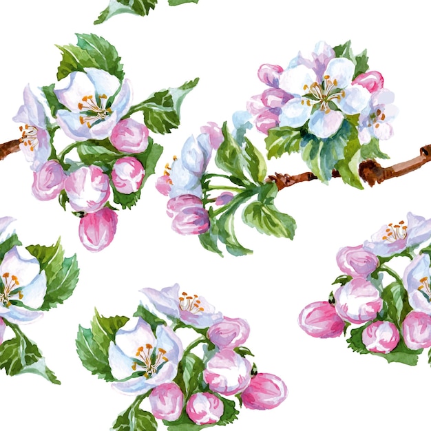 Watercolor apple flowers. Seamless background . Vector illustration.