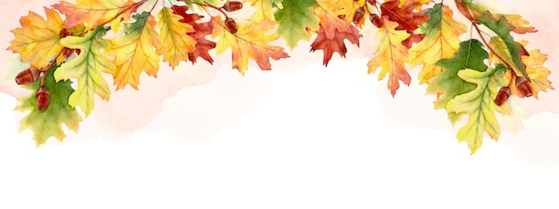 Watercolor autumn abstract background with seasonal leaves