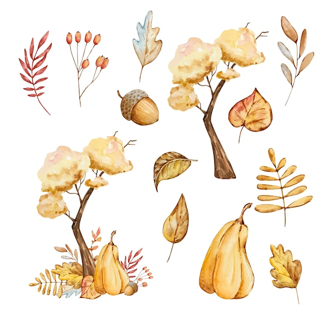 Watercolor autumn composition tree pumpkin and leaves