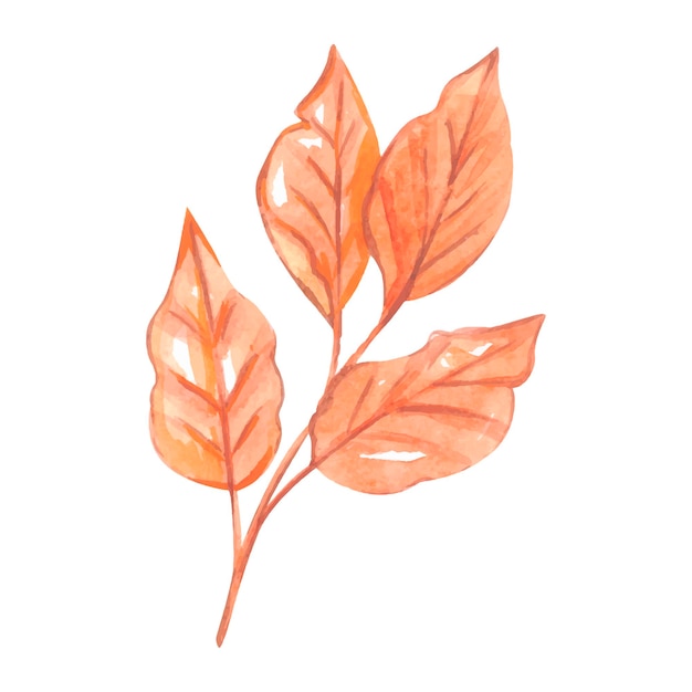 Watercolor autumn leaf. Orange leaves. High quality illustration