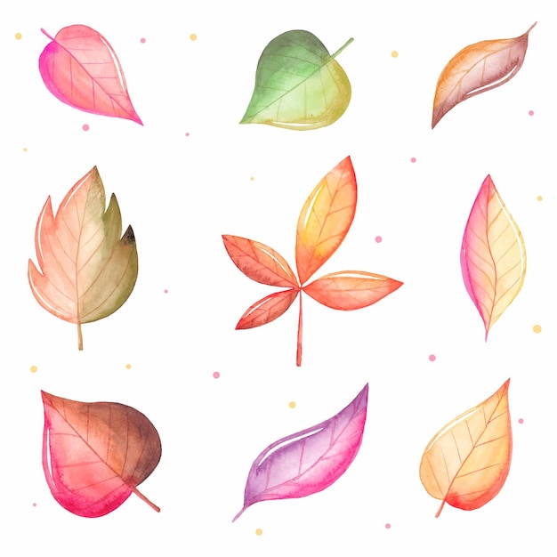 Watercolor autumn leaves collection