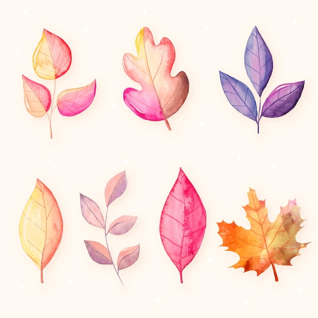 Watercolor autumn leaves collection