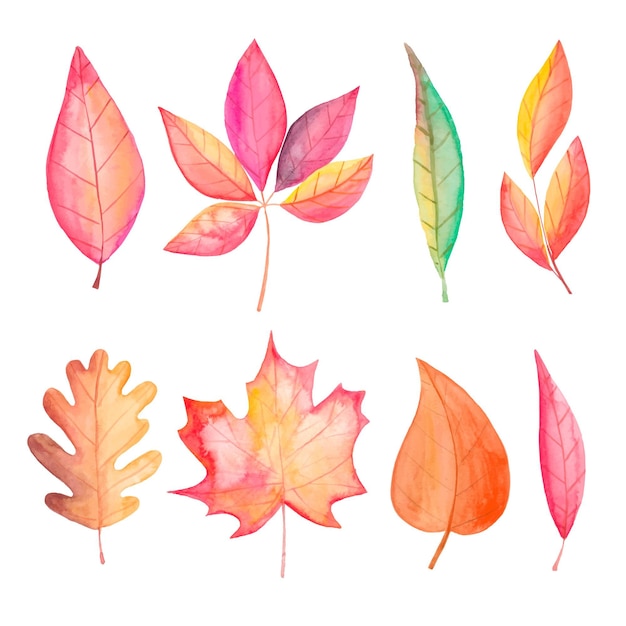 Watercolor autumn leaves collection