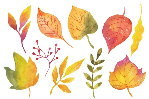 Watercolor autumn leaves collection