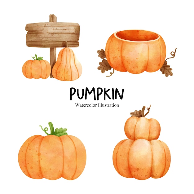 Watercolor autumn pumpkin fall season vector illustration