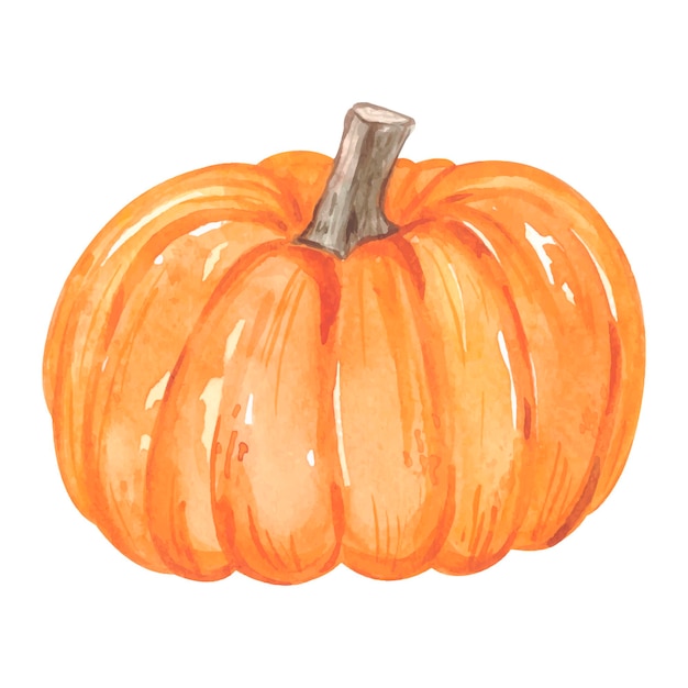 Watercolor autumn pumpkin. Vector illustration