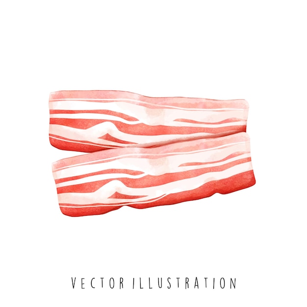 watercolor of bacons